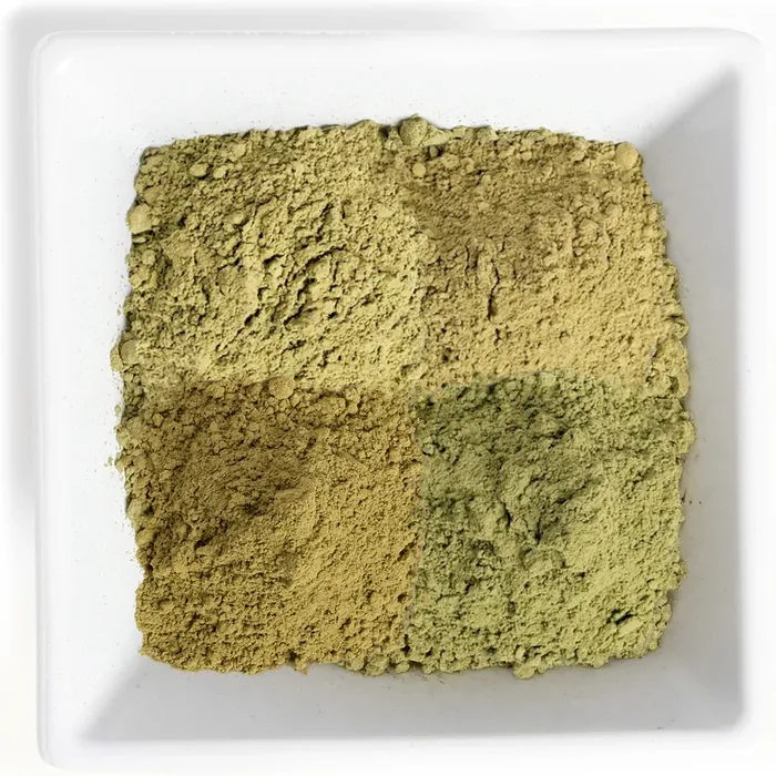 Bulk kratom powder kilos, four kratom strain powders in a white dish